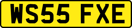 WS55FXE