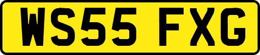 WS55FXG