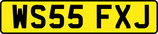 WS55FXJ