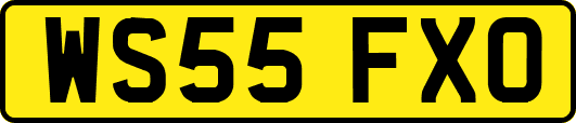 WS55FXO