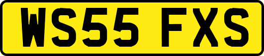 WS55FXS