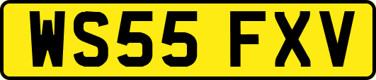 WS55FXV