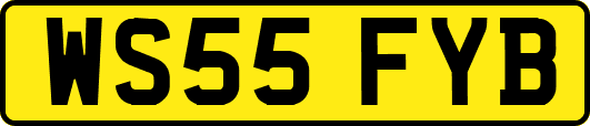 WS55FYB