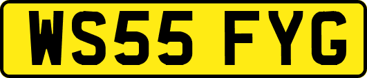 WS55FYG