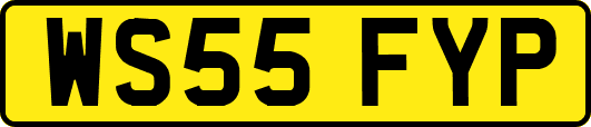WS55FYP