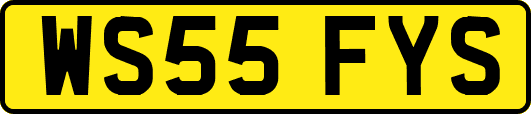 WS55FYS