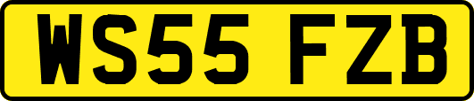 WS55FZB