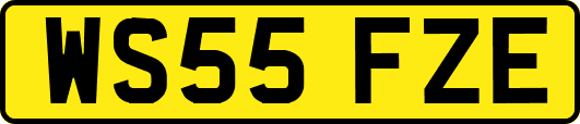 WS55FZE