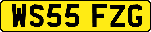 WS55FZG