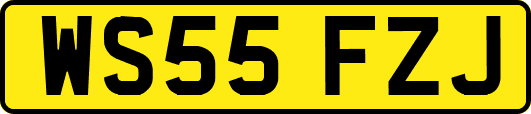 WS55FZJ
