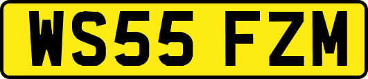 WS55FZM