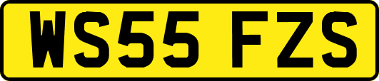 WS55FZS