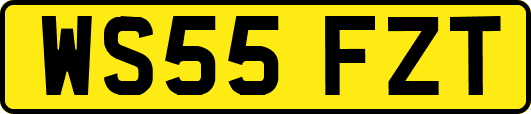 WS55FZT