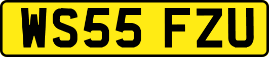 WS55FZU