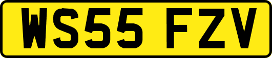 WS55FZV