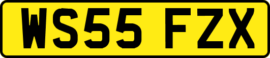 WS55FZX