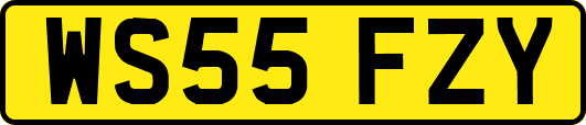 WS55FZY