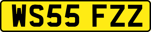 WS55FZZ