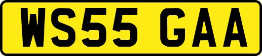 WS55GAA