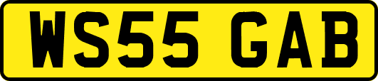 WS55GAB