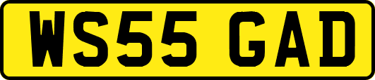 WS55GAD