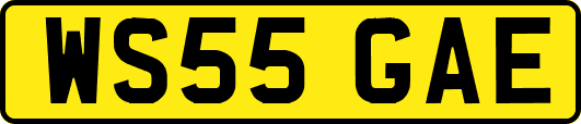 WS55GAE