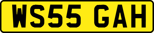 WS55GAH