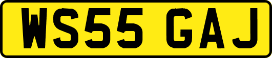 WS55GAJ