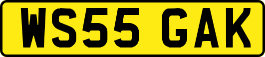 WS55GAK