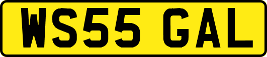 WS55GAL