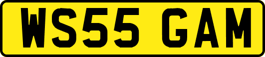 WS55GAM