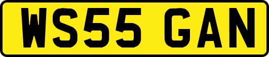 WS55GAN