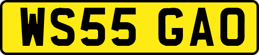 WS55GAO