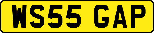 WS55GAP
