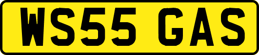 WS55GAS