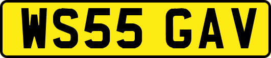 WS55GAV