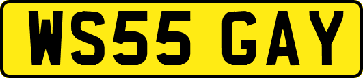 WS55GAY