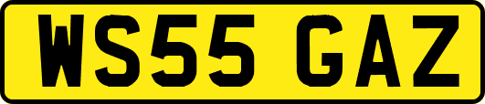 WS55GAZ