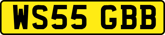 WS55GBB