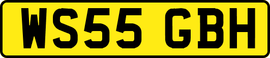WS55GBH