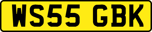 WS55GBK