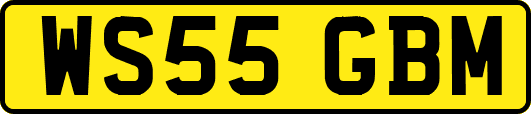 WS55GBM