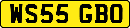 WS55GBO