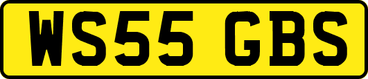 WS55GBS