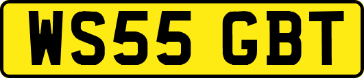 WS55GBT