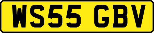 WS55GBV