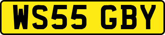 WS55GBY