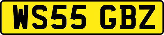 WS55GBZ