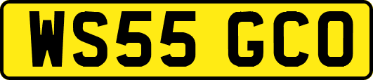 WS55GCO
