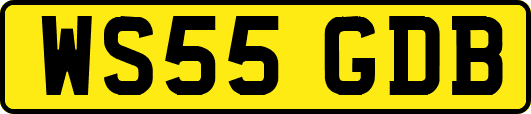 WS55GDB